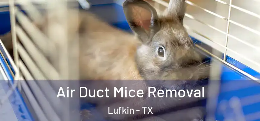  Air Duct Mice Removal Lufkin - TX