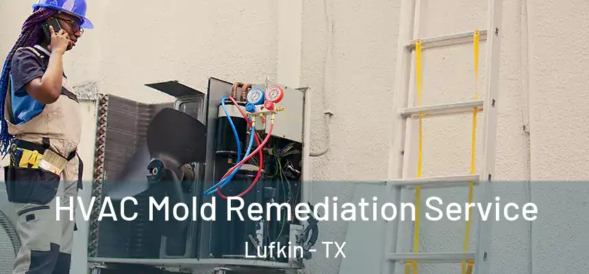  HVAC Mold Remediation Service Lufkin - TX