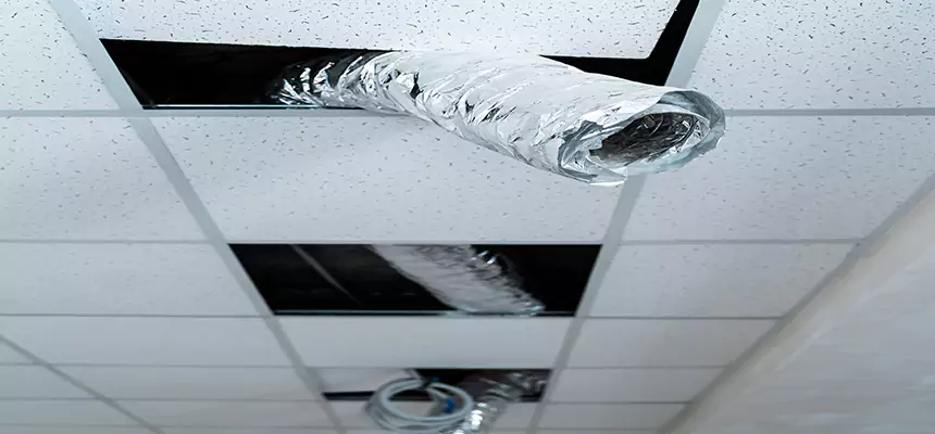 Affordable HVAC Sanitizing After Pest Removal in Lufkin