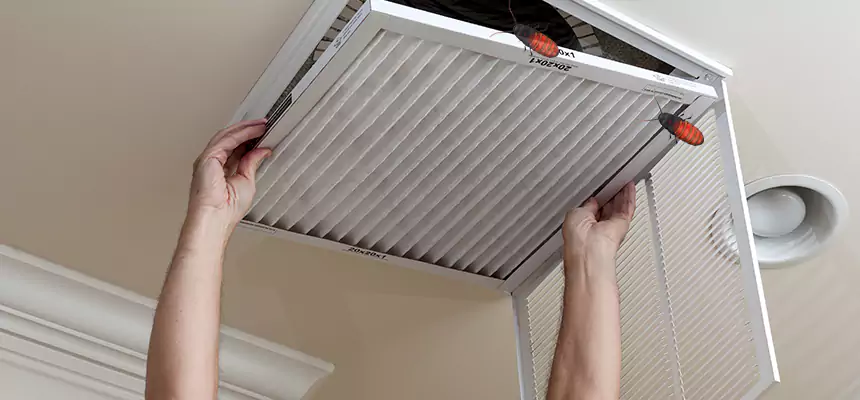 Our Insect Removal from Air Ducts Services in Lufkin, TX