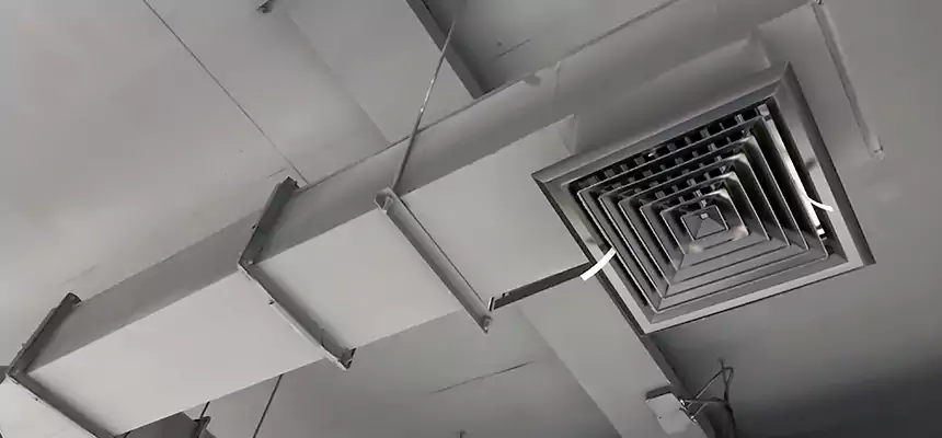 Our Rodent Droppings In Vents Services in Lufkin, TX