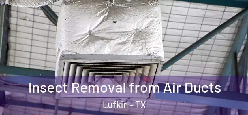  Insect Removal from Air Ducts Lufkin - TX