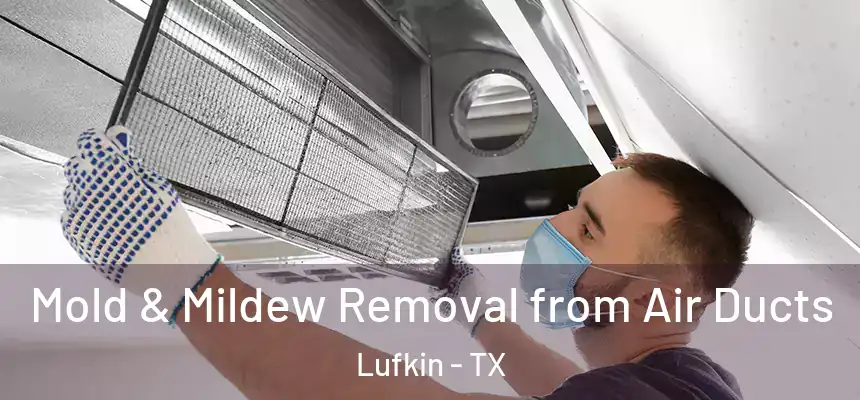  Mold & Mildew Removal from Air Ducts Lufkin - TX
