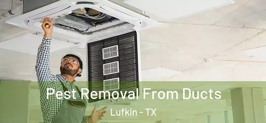  Pest Removal From Ducts Lufkin - TX
