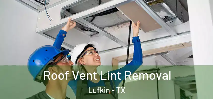 Roof Vent Lint Removal Lufkin - TX