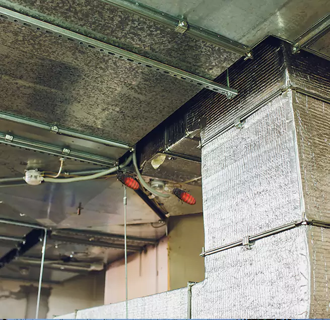 Why Homeowners & Businesses Trust Us in Lufkin, TX?